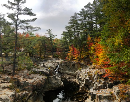 A serene rocky landscape with a winding stream, surrounded by trees displaying vibrant autumn colors.