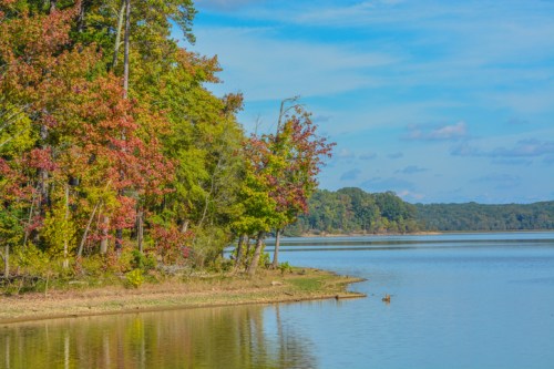A serene lake surrounded by trees with autumn foliage under a clear blue sky.