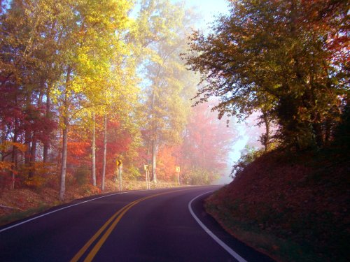A winding road surrounded by vibrant autumn trees in a misty landscape.