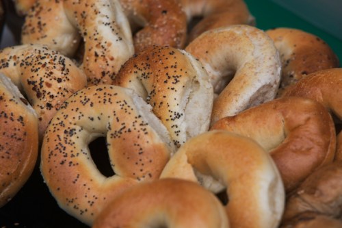 A close-up of assorted bagels, including plain, poppy seed, and everything bagels, arranged on a tray.