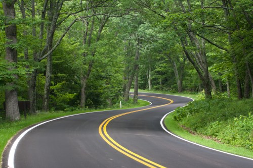 A winding road surrounded by lush green trees, creating a serene and scenic landscape.