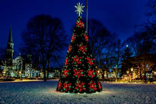 A beautifully decorated Christmas tree with red and green lights stands in a snowy park at dusk, with a star on top.