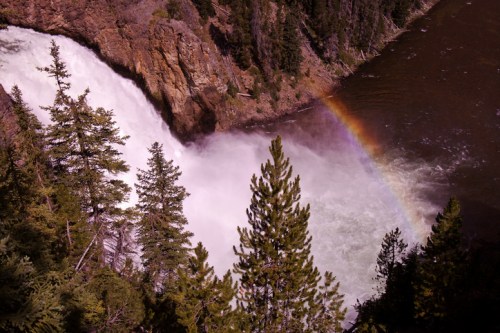 A waterfall cascades into a river, surrounded by trees, with a rainbow arcing over the mist.
