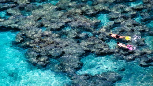 Two snorkelers explore a vibrant coral reef in clear blue water.