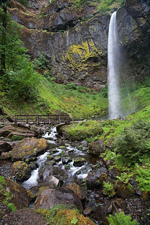 A serene waterfall cascades down rocky cliffs, surrounded by lush greenery and a small wooden bridge over a stream.