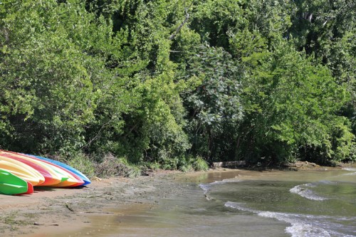 Colorful kayaks lined up on a sandy shore beside a lush green forest and gentle waves lapping at the beach.