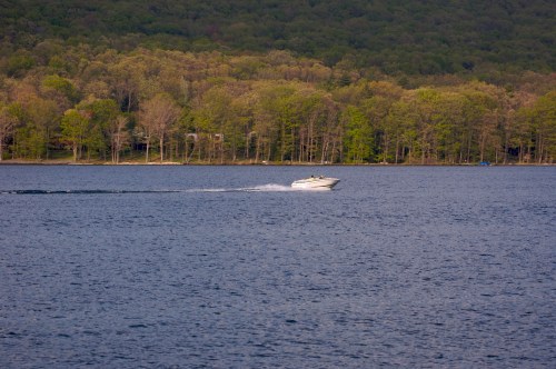 A boat speeds across a calm lake, surrounded by lush green trees and a serene landscape.