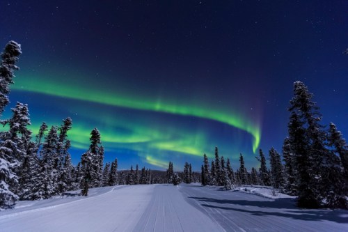 A snowy landscape under a vibrant aurora borealis, with tall trees silhouetted against the night sky.