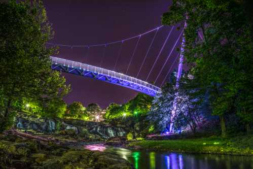 A brightly lit suspension bridge at night, surrounded by trees and reflecting in a calm stream below.