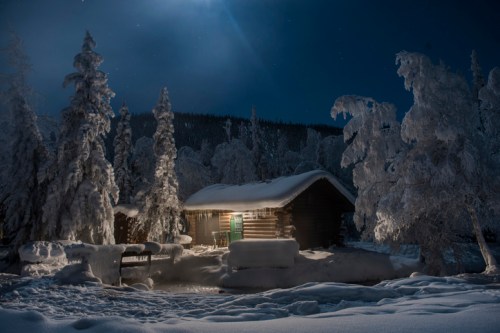 A cozy cabin illuminated at night, surrounded by snow-covered trees and a serene winter landscape.