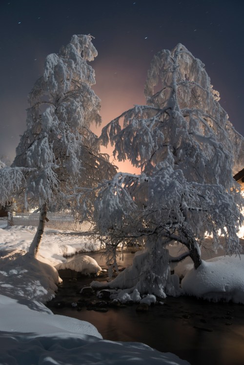 Snow-covered trees beside a gently flowing stream, illuminated by a soft glow in the night sky.