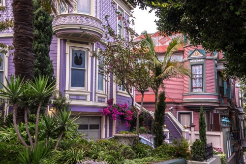 Colorful Victorian houses with lush greenery and blooming flowers in a charming neighborhood.