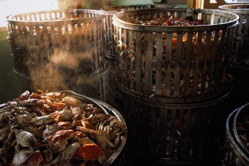 Baskets filled with steaming cooked crabs, creating a warm and bustling seafood processing environment.