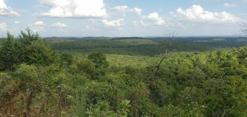 A panoramic view of lush green hills under a blue sky with fluffy white clouds.