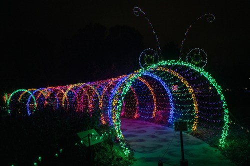 A colorful, illuminated archway resembling a caterpillar, adorned with vibrant lights in a dark garden setting.