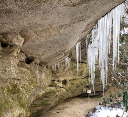Icicles hang from a rocky overhang in a snowy forest, with a path and sign visible below.
