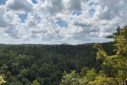 A scenic view of lush green forests under a bright, cloudy sky.