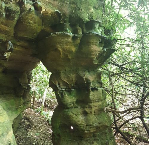 A natural rock formation with a hollow arch, surrounded by lush greenery and trees in a forested area.