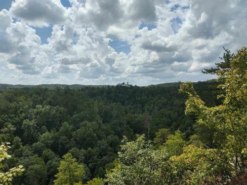 A scenic view of lush green forests under a partly cloudy sky.