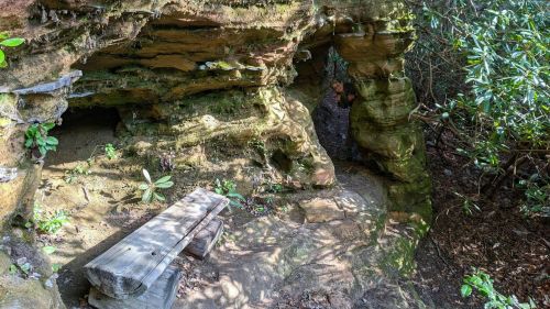A natural rock formation with a small cave and a wooden bench surrounded by greenery in a forested area.