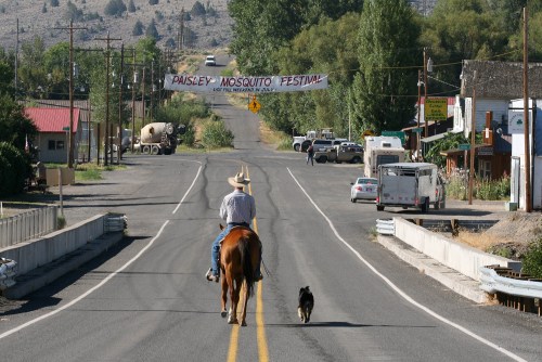 A man on horseback rides down a quiet road with a dog, passing a banner for the Paisley Mosquito Festival.