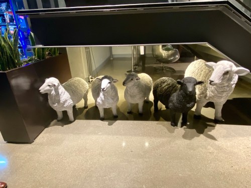 A row of decorative sheep sculptures in various colors, positioned under a staircase in a modern space.