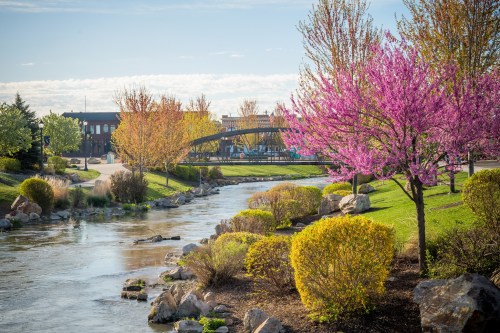 A serene park scene with a flowing stream, colorful trees, and a bridge in the background under a clear blue sky.