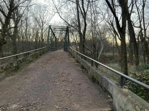 A gravel path leads to a green metal bridge surrounded by bare trees and a serene landscape at dusk.