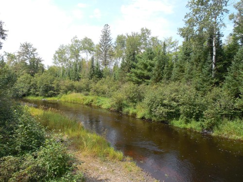 A serene river flows through a lush green landscape, surrounded by trees and shrubs under a partly cloudy sky.