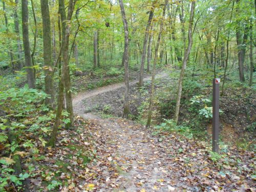 A winding dirt path through a forest with autumn leaves and trees, leading to a trail marker.