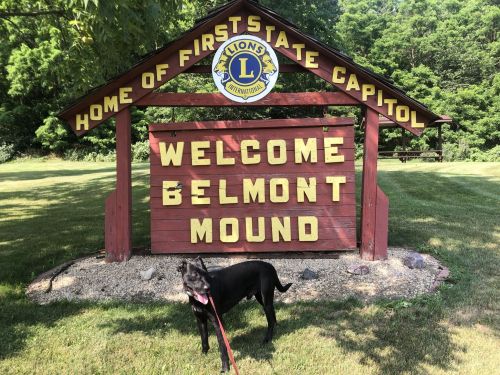 A black dog stands in front of a large wooden sign that reads "Welcome Belmont Mound" in a grassy area.