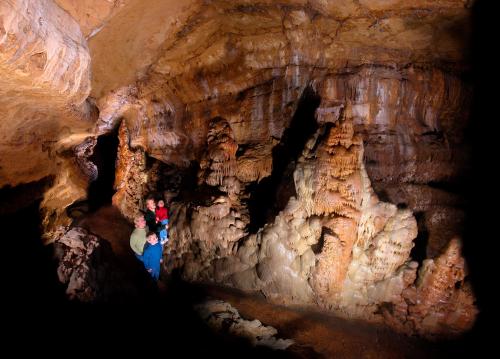 A group of people exploring a cave with impressive stalactites and stalagmites illuminated by artificial light.