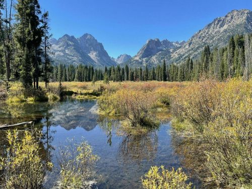 A serene landscape featuring a clear pond surrounded by colorful autumn foliage and majestic mountains in the background.
