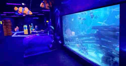 A vibrant aquarium scene with colorful fish swimming in a large tank, illuminated by blue lighting.