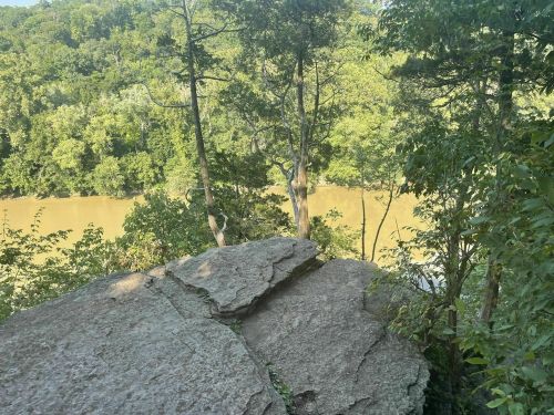 A rocky outcrop overlooks a river surrounded by lush green trees and foliage.