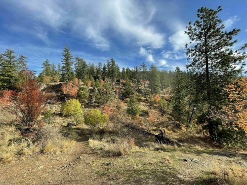 A scenic landscape featuring a trail winding through a forest of trees with autumn foliage under a blue sky.