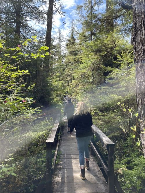 A person walks along a wooden bridge through a lush, green forest on a sunny day.