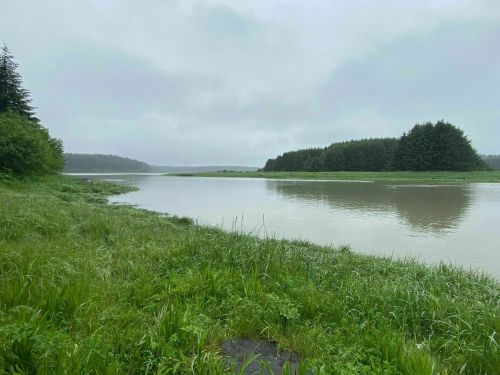 A serene river scene surrounded by lush greenery and misty hills under a cloudy sky.