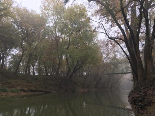 A foggy river scene surrounded by trees, with a bridge partially visible in the background.