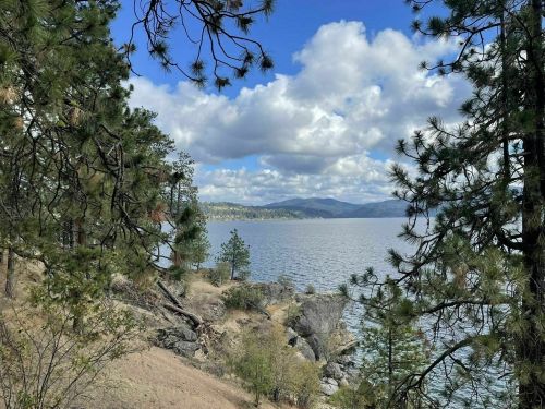 A serene lake view framed by pine trees, with mountains and fluffy clouds in the background.