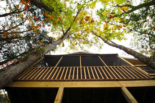 View from below of a treehouse surrounded by tall trees with colorful autumn leaves.