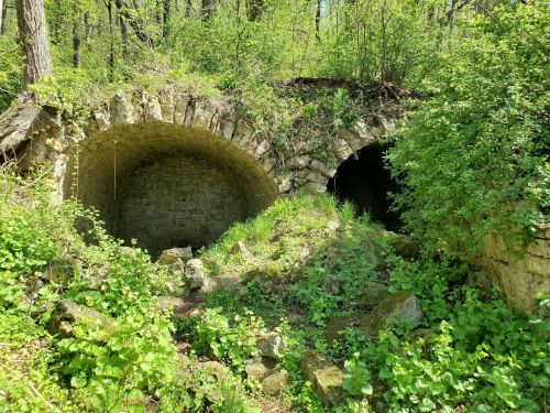 Two stone archways partially covered in greenery, surrounded by lush vegetation and trees in a forested area.