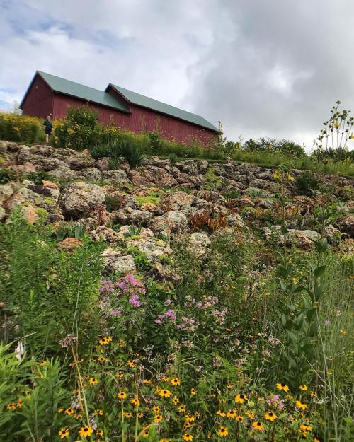A red barn sits atop a rocky hillside adorned with colorful wildflowers under a cloudy sky.
