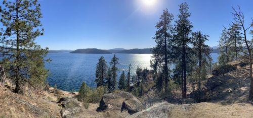 A panoramic view of a serene lake surrounded by trees and mountains under a clear blue sky.