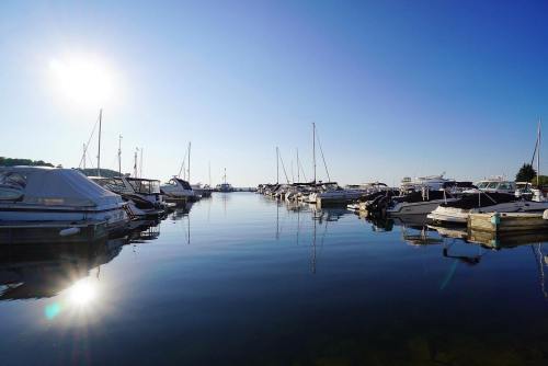 A serene marina at sunrise, with boats reflecting on calm water under a clear blue sky.