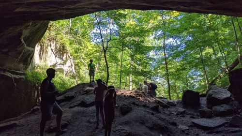 A group of people exploring a cave entrance surrounded by lush green trees and sunlight filtering through.