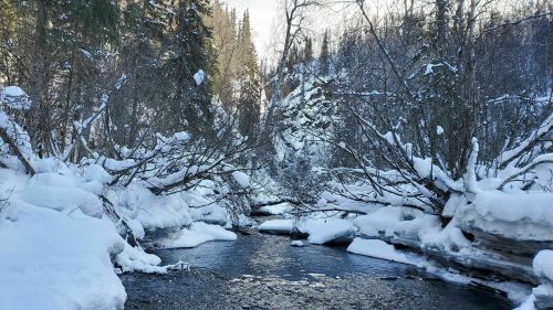 A serene winter landscape featuring a snow-covered river surrounded by trees and icy banks.