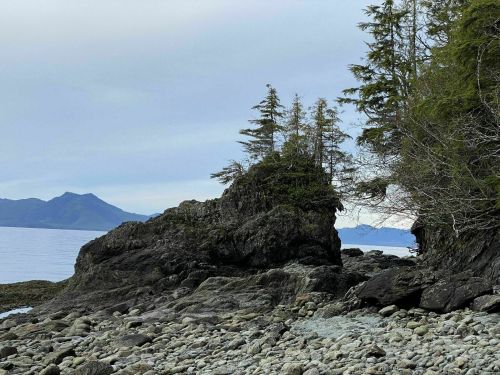 A rocky shoreline with small trees atop a rock formation, surrounded by calm water and distant mountains under a cloudy sky.