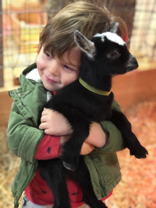 A young child hugs a small black goat, both looking happy in a cozy barn setting.