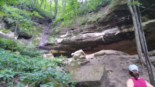 A person walks towards a rocky cliff in a lush green forest, surrounded by trees and foliage.